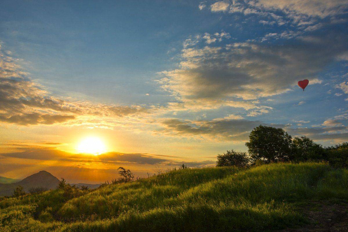 , Елена Брежицкая