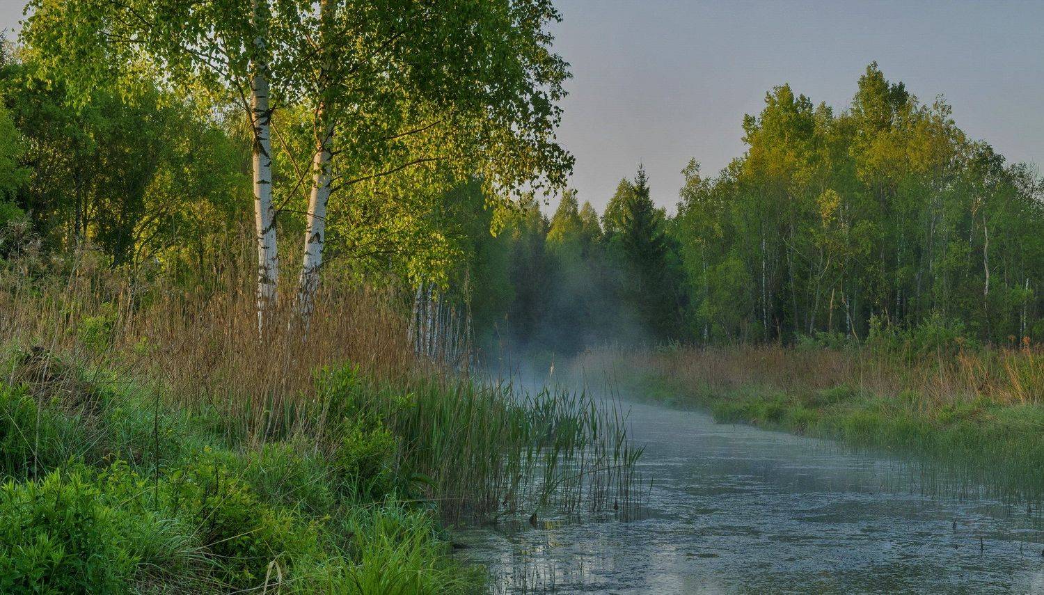 Рассвет, Александр Гвоздь