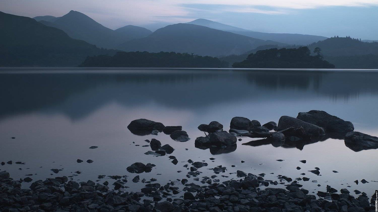 , Данила Алишев