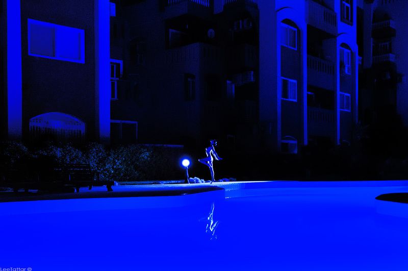 Butterfly фото превью