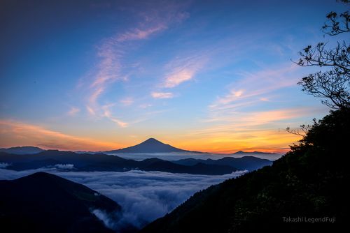 Morning glow on the sea of clouds
