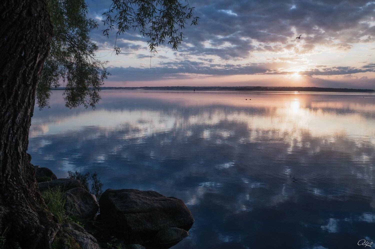 , Александр Кудинов
