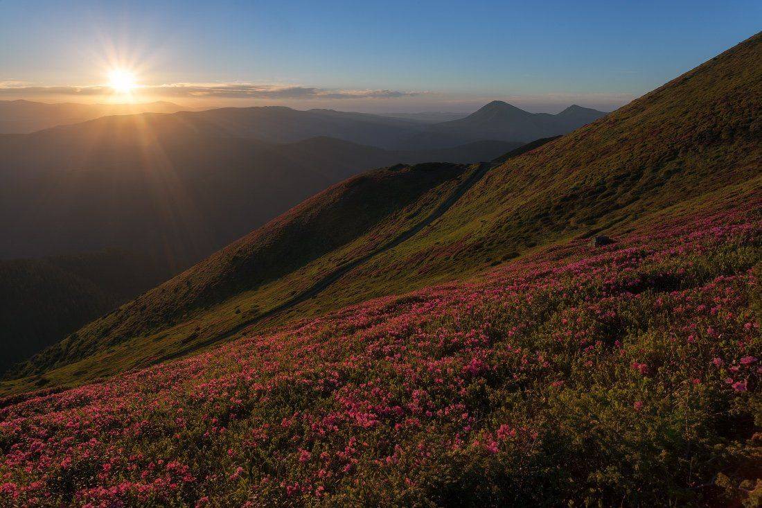 , Ярослав Тюрменко (Jaremi)