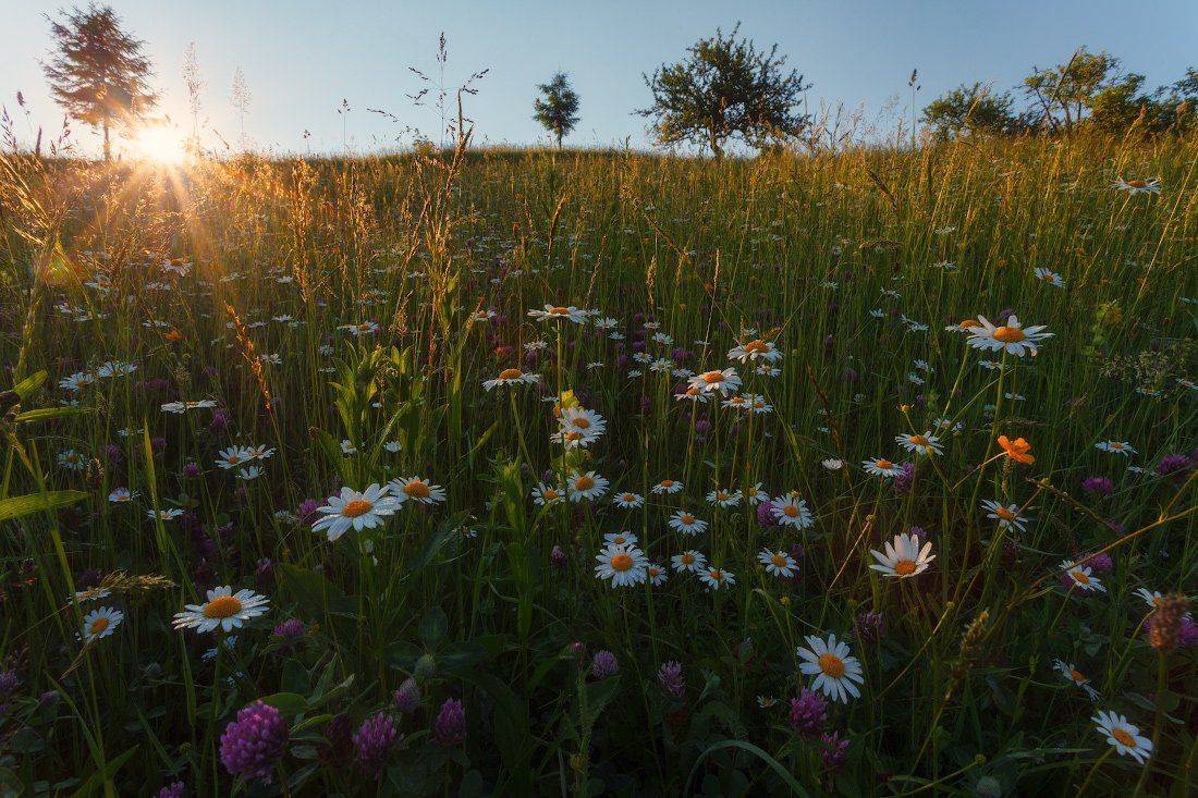 , Ярослав Тюрменко (Jaremi)