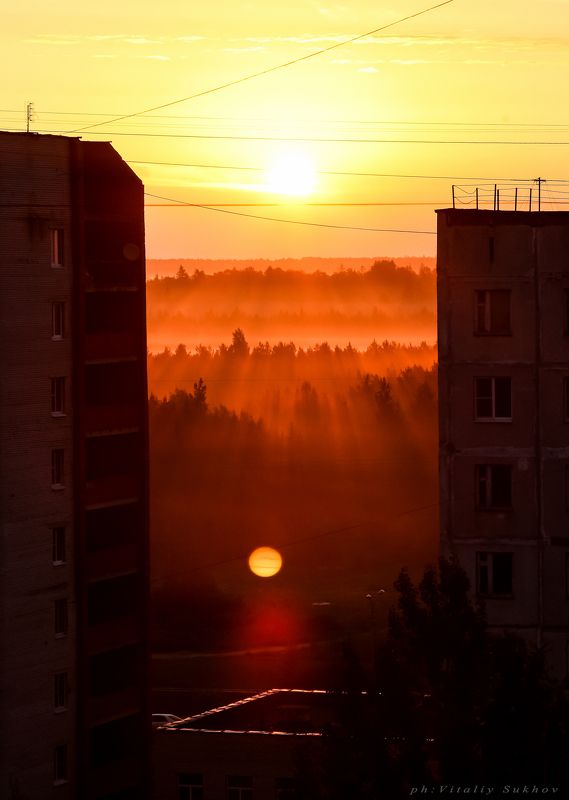 Городские джунгли рассвет 3.55 фото превью
