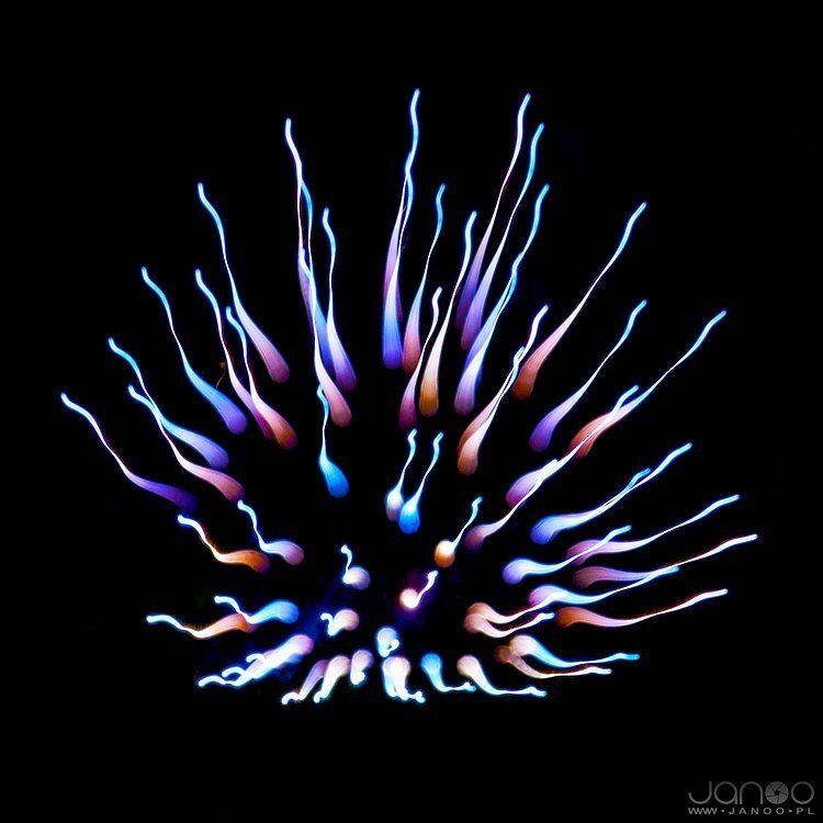 Abstract, Colors, Fireworks, Light, Lights, Night, Janusz Cedrowicz