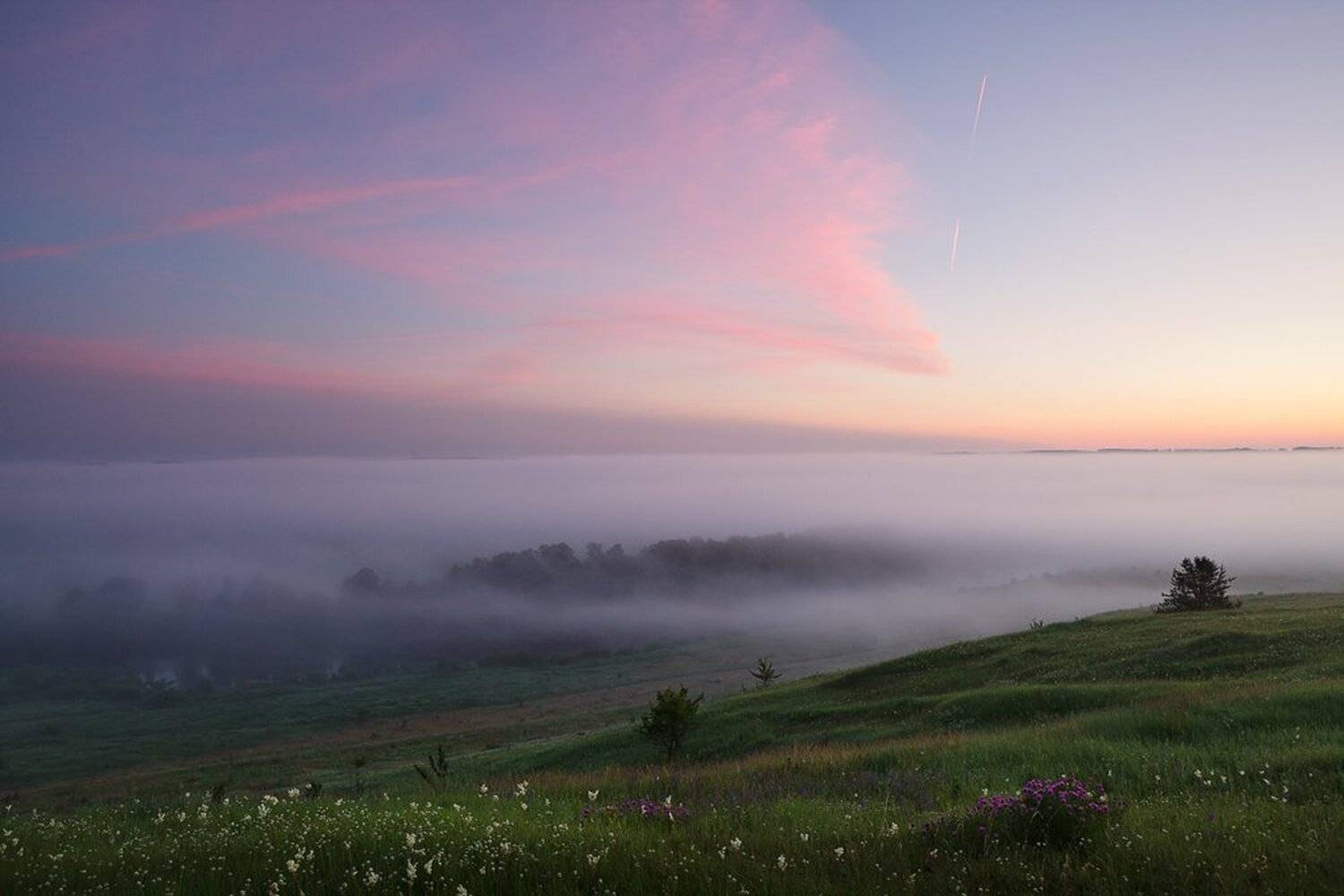 , Юрий Сорокин