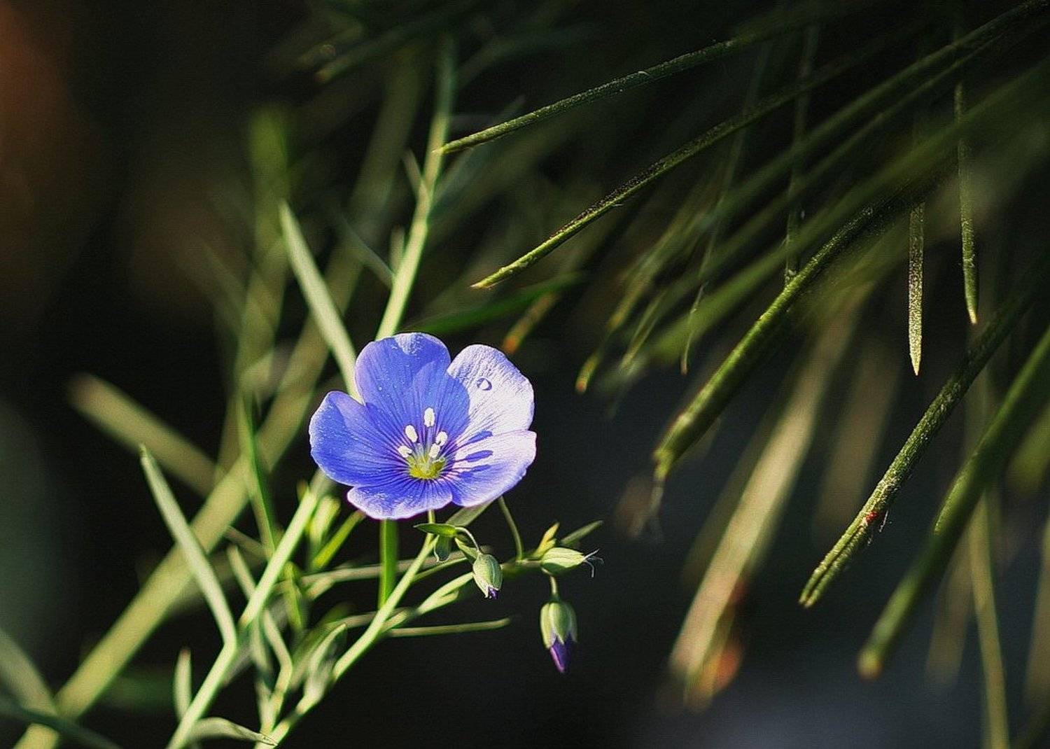 , Володя Демидчик