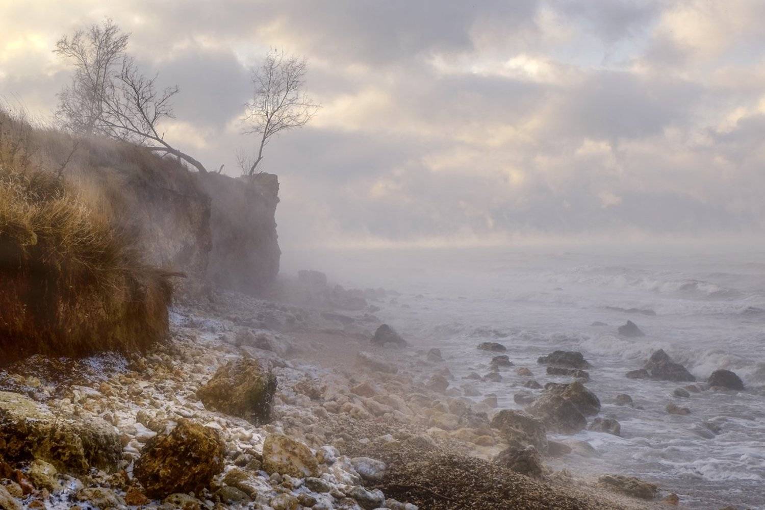 , Бруно Томский