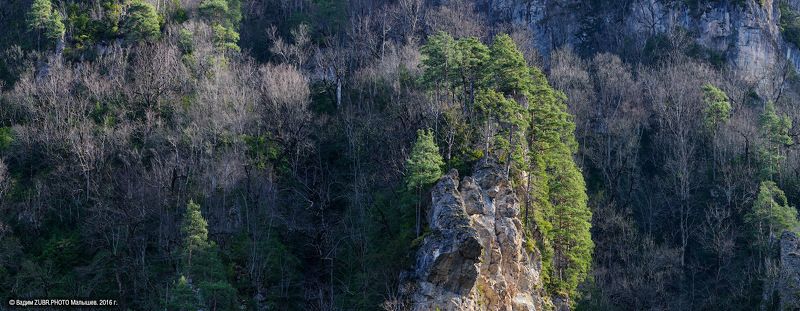 Борьба за жизнь фото превью