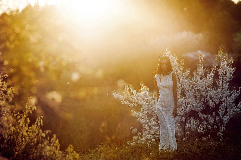 180mm, 85, 85 1.4, 85mm, Helios, Nikkor, Nikkor 180mm, Nikkor 85, Nikon d700 цветы заката фото превью