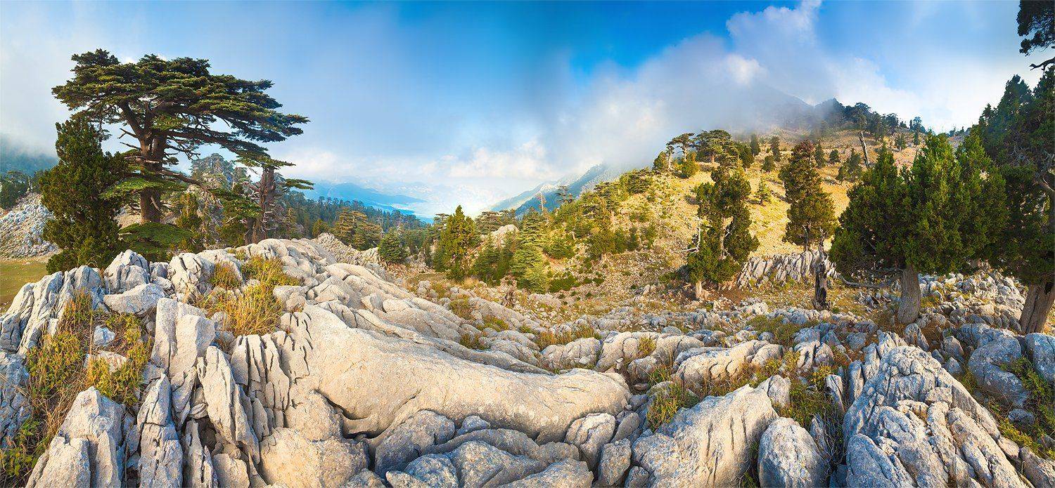 , Копычко Михаил