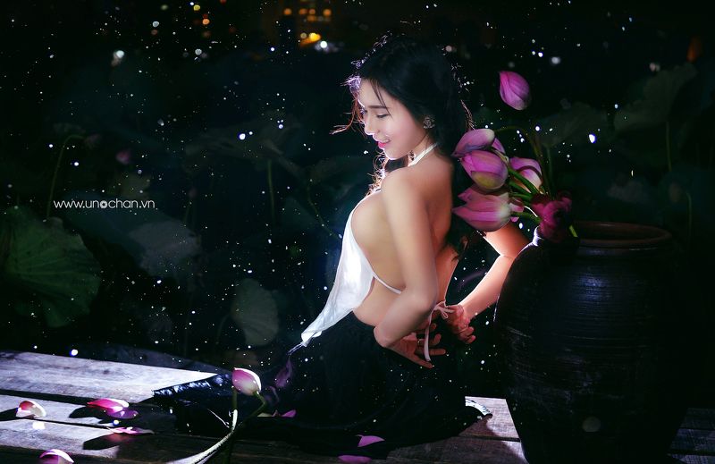 lotus, sexy. night Night Lotus фото превью