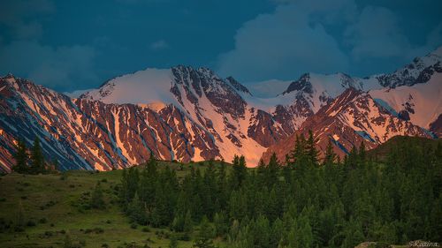 Рассвет на Северо-Чуйском хребте