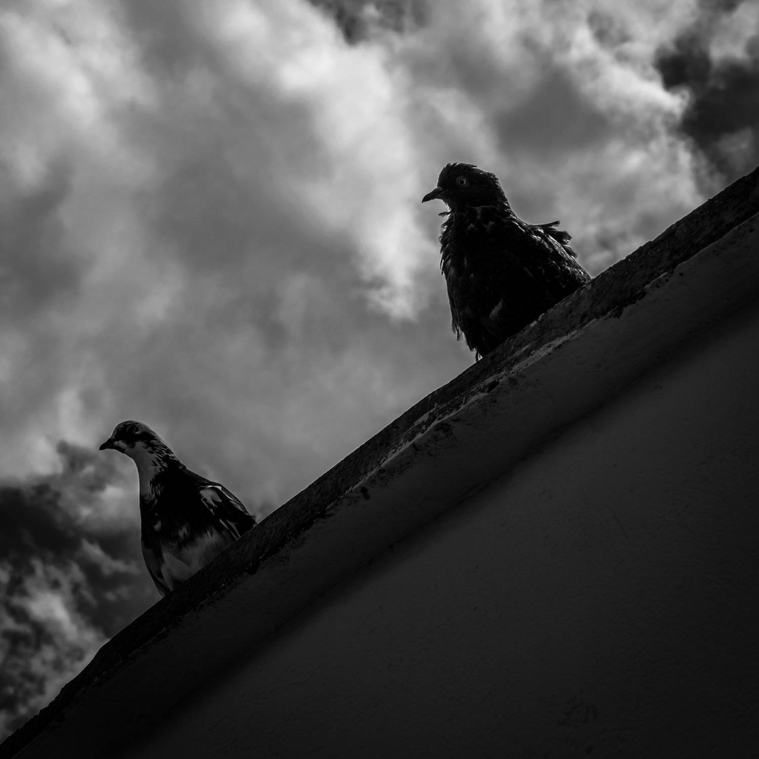 , Коростелев Юрий