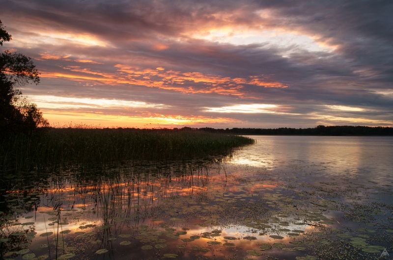 Озеро, Череменец Череменецкий рассвет фото превью