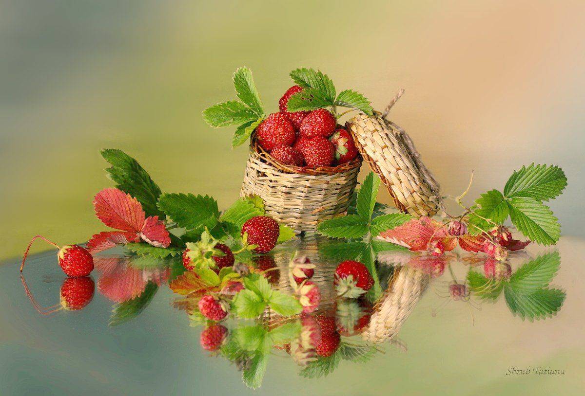 Корзина, Ягоды клубника, Шруб (Беляева) Татьяна