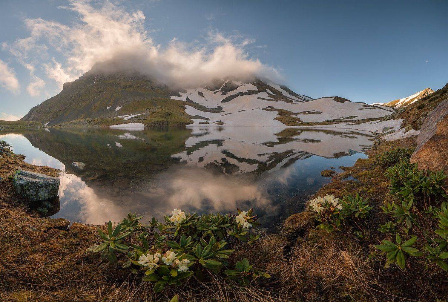 , Николай Мысливцев