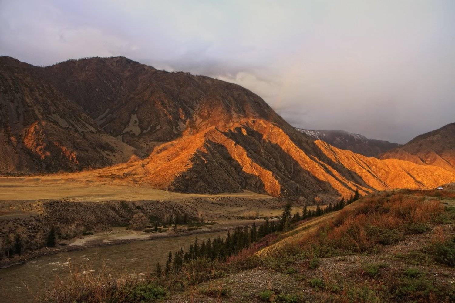 , Галина Хвостенко