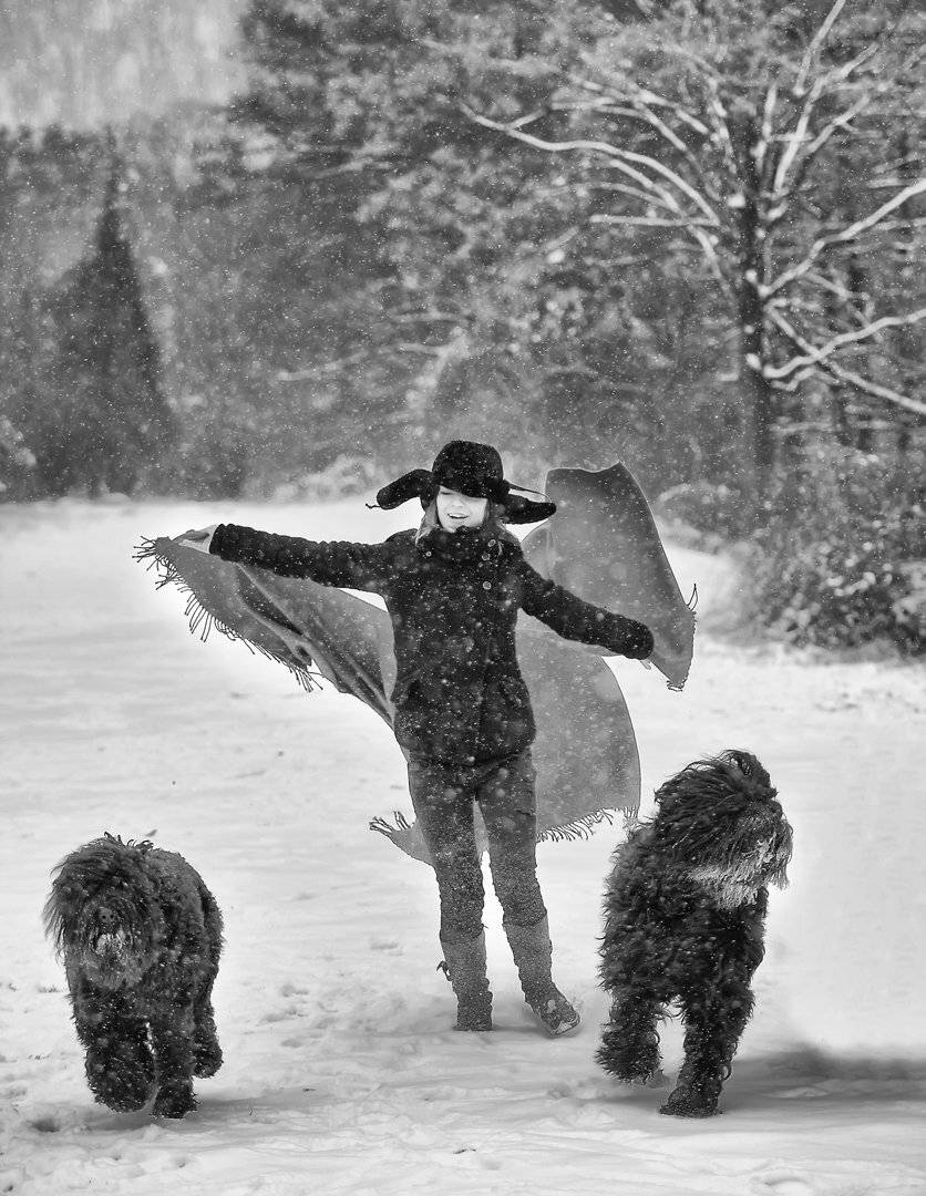 , Димитър Стоянов