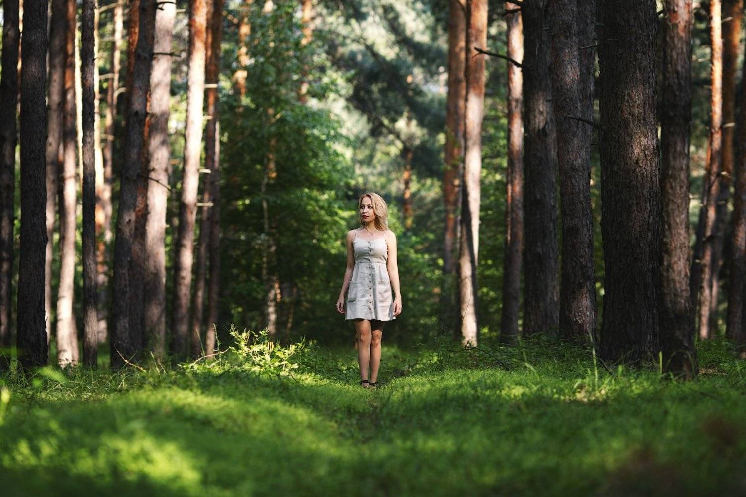 , Александр Кравцов