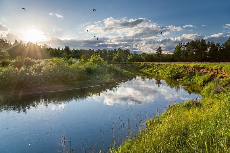 Стрижи на Киржаче фото превью
