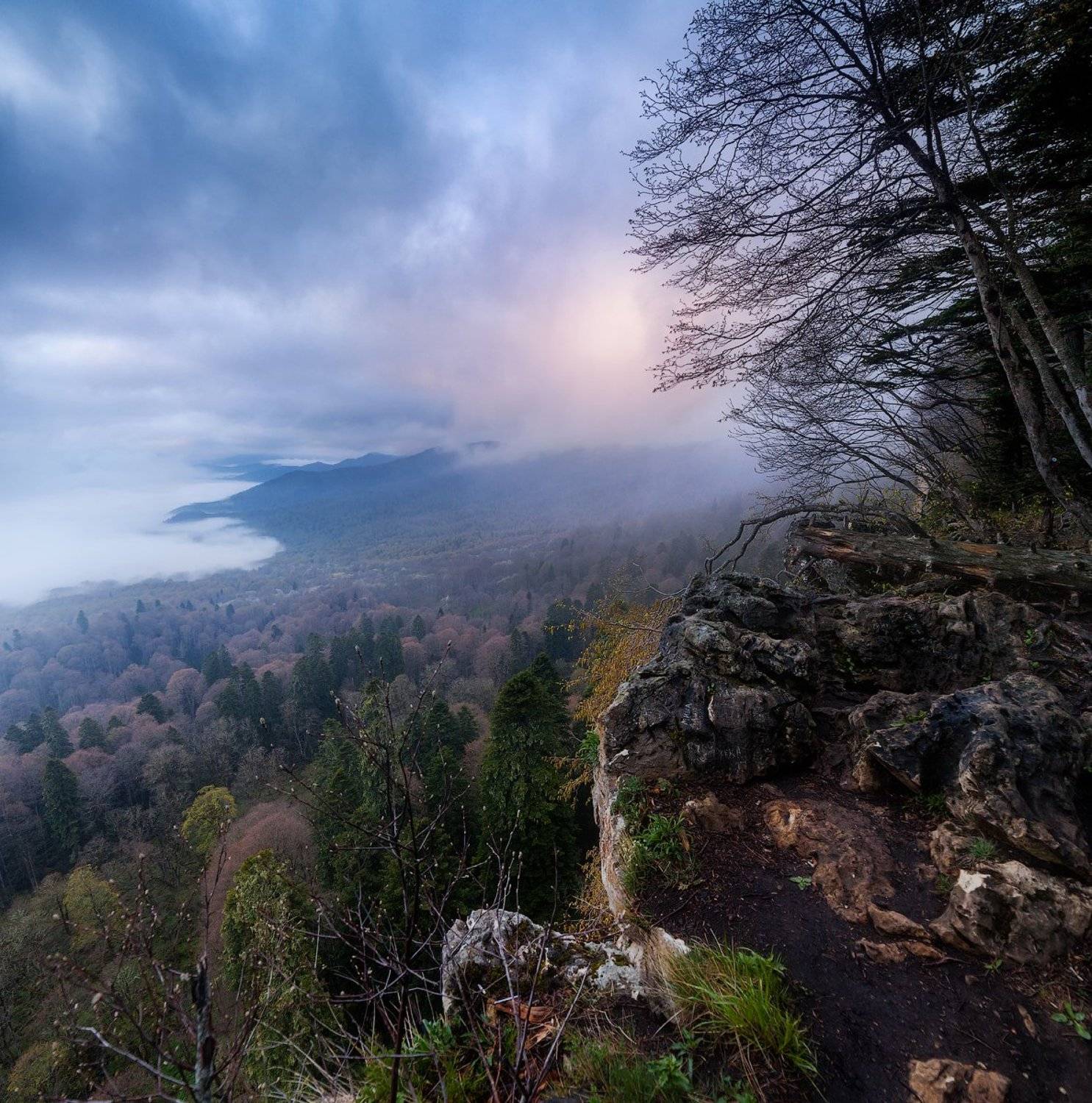 , Сергей Сутковой