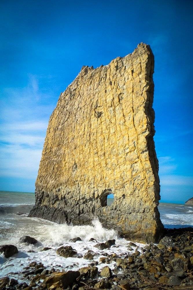 , Николай Шелепов