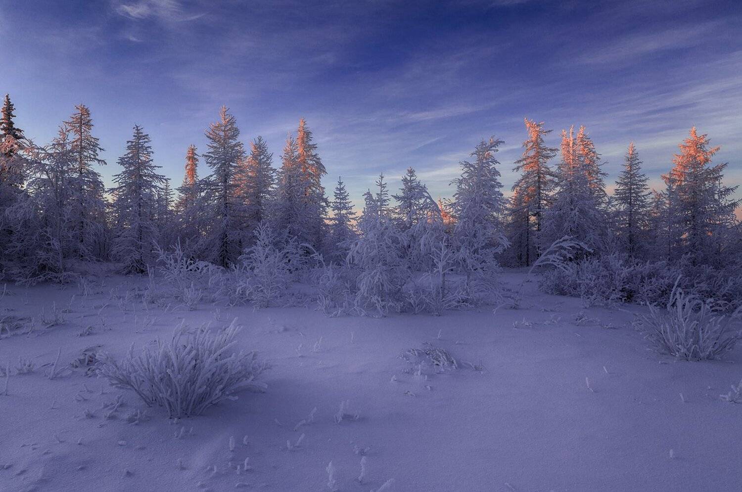 , Евгений Кужилев