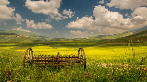 На полях долины Castelluccio