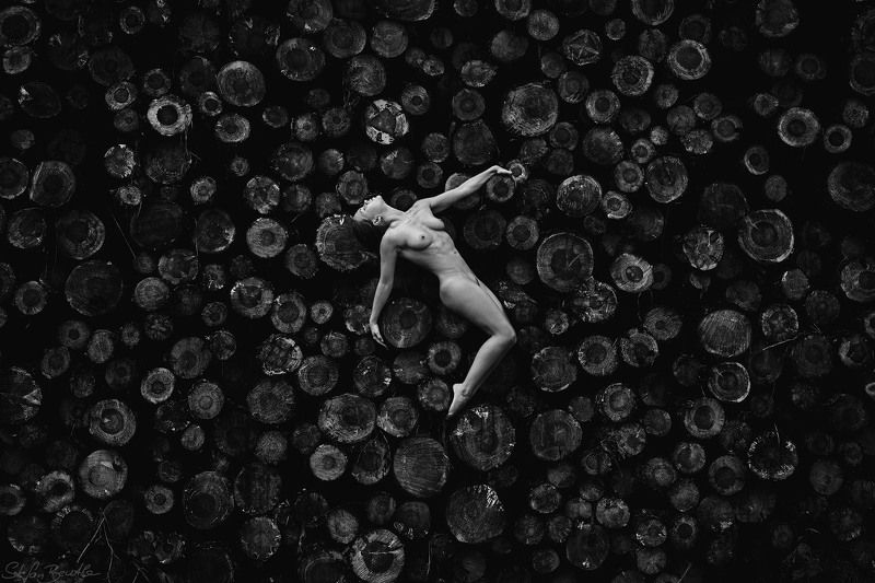 watching the sky фото превью