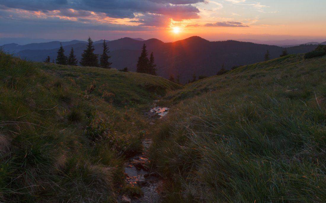 , Ярослав Тюрменко (Jaremi)