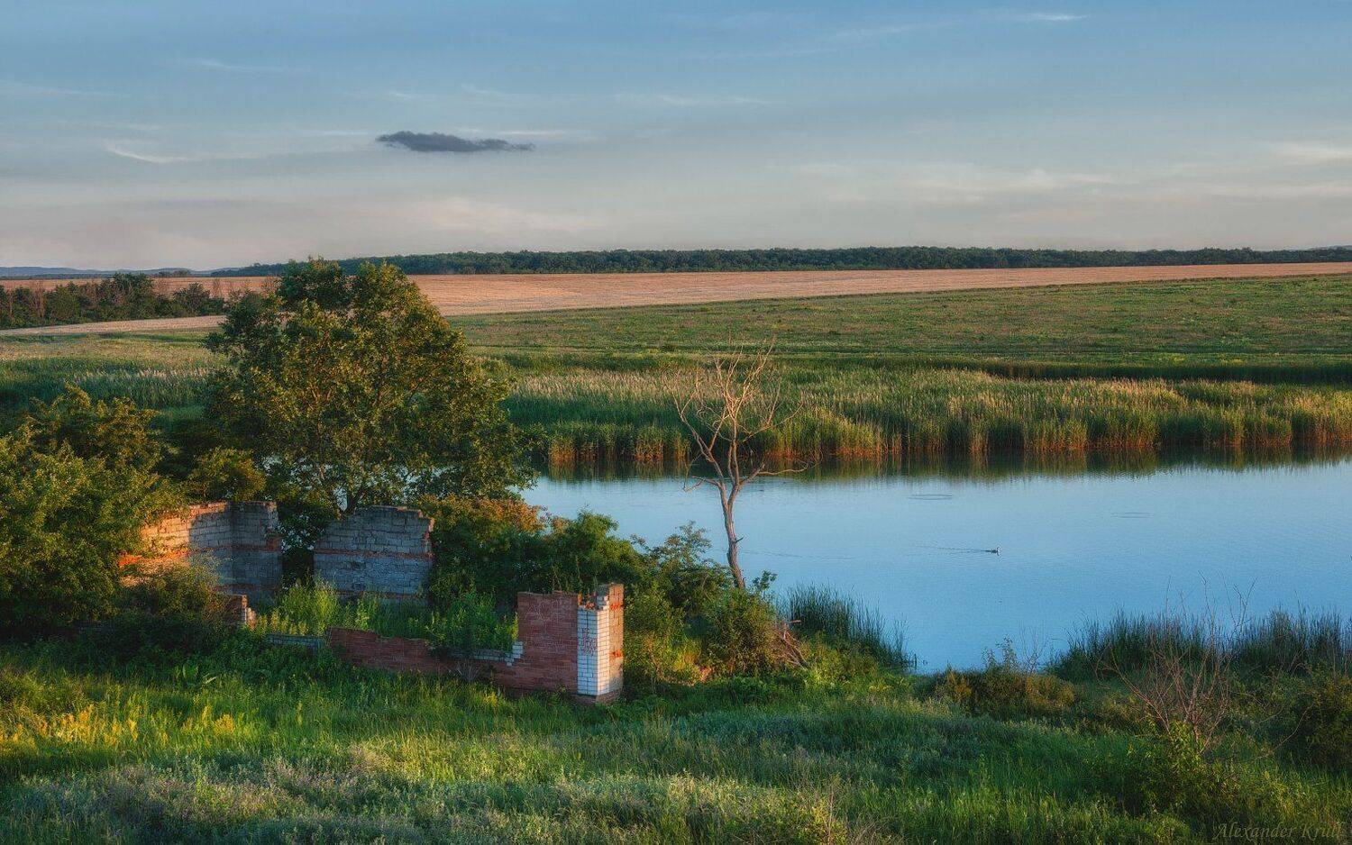 , Александр Круль