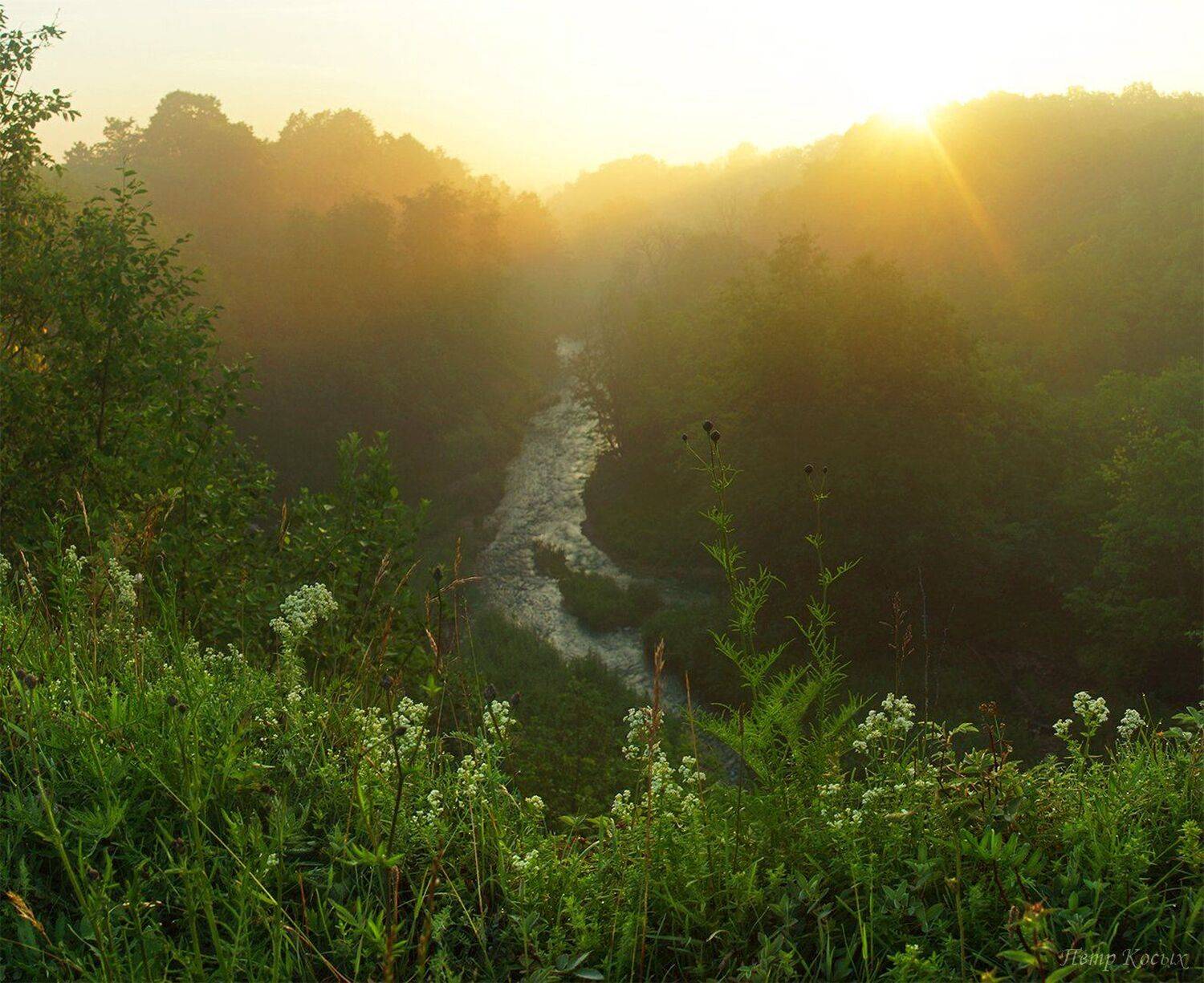 Лава, Рассвет, Река, Петр Косых