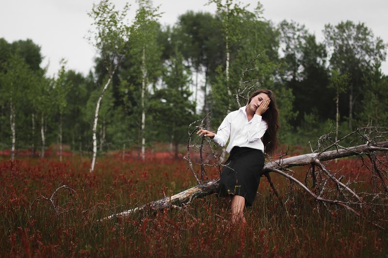 color, emotion, girl, photo, portrait, поле, портрет, портрет девушки, цвет, цветы Color Fantasy фото превью