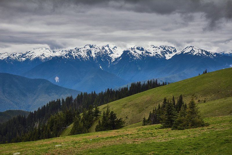 Hurricane Ridge, Mountains, Olympic Hurricane Ridge фото превью