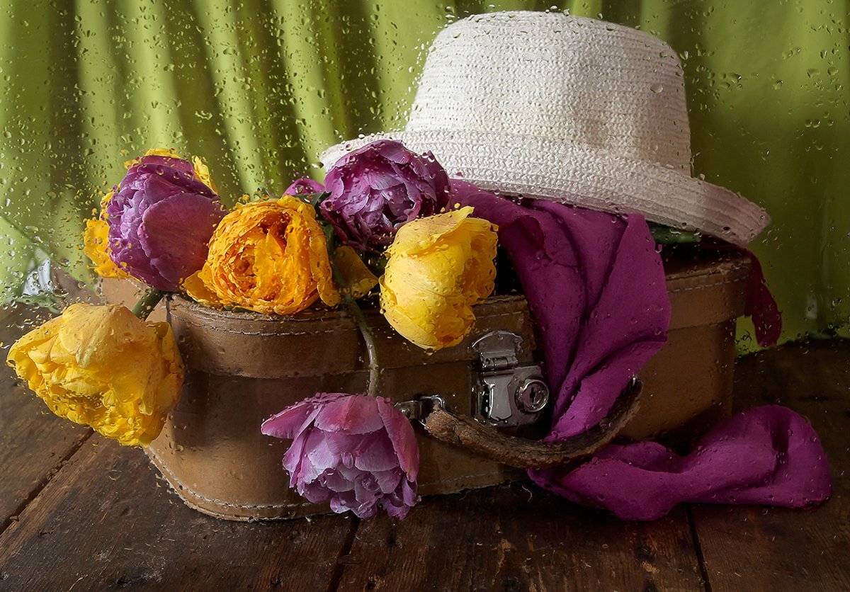 Дождь, Капли, Платки, Тюльпаны, Цветы, Чемодан, Шляпа, Инна Сухова