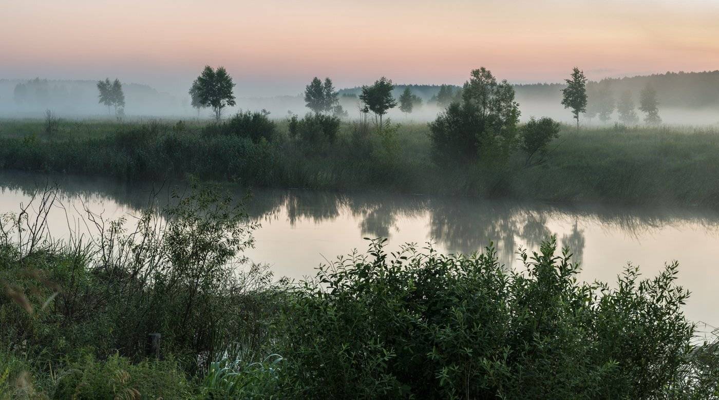 , Александр Бредихин