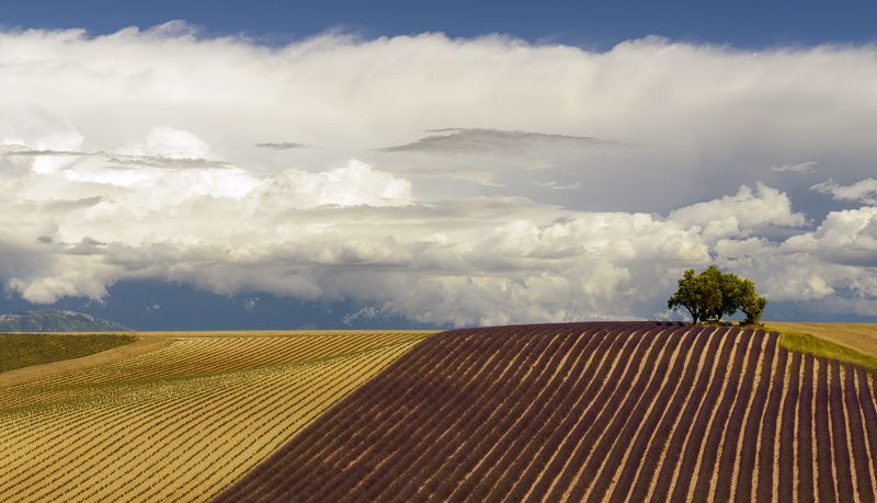 Линии Прованса фото превью