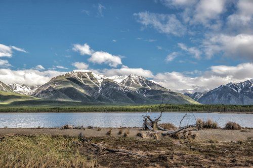 умиротворение