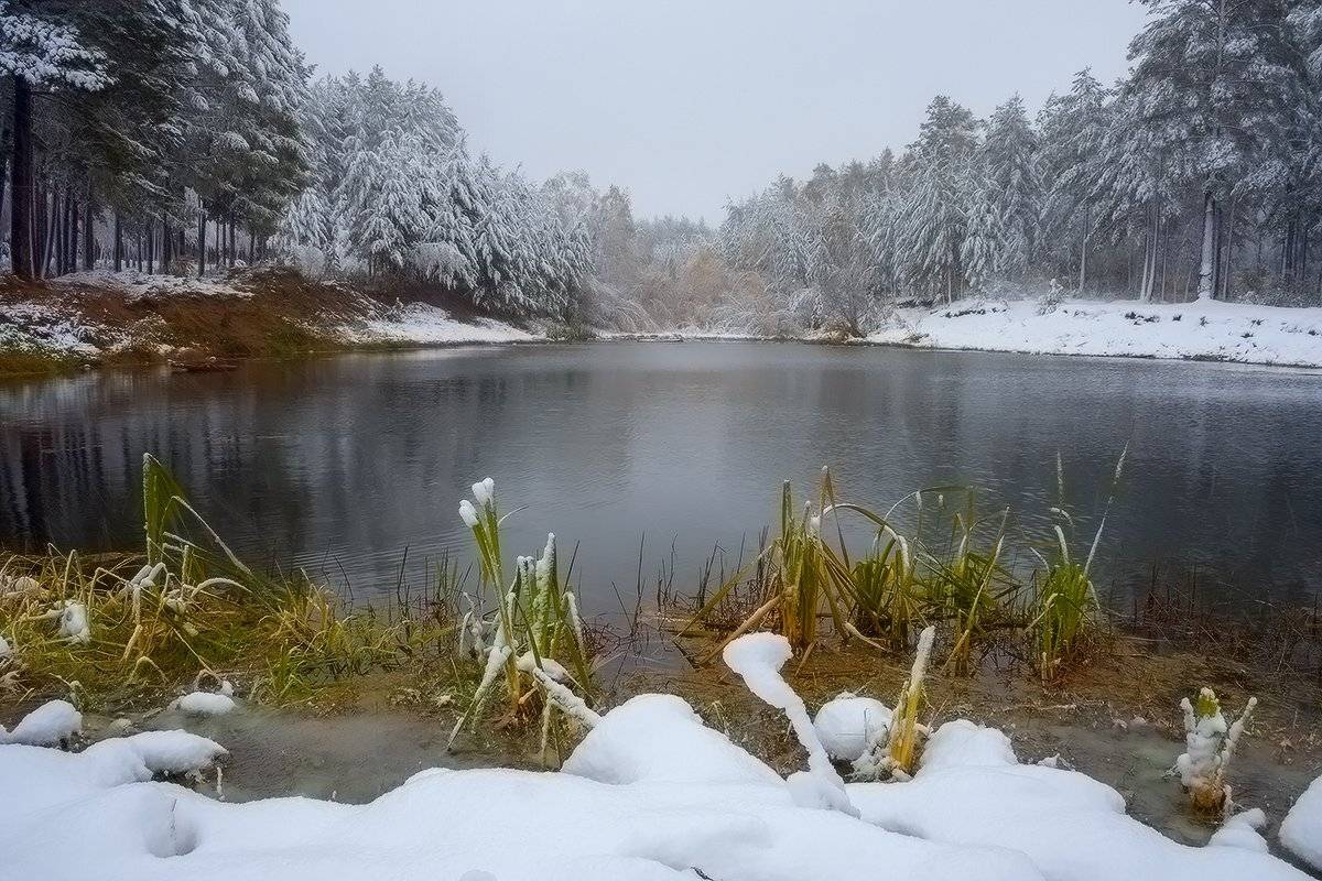 , Николай Морский