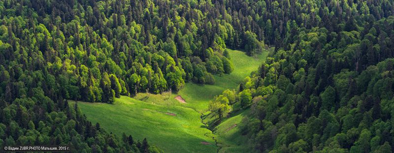 zubr.photo, горы, заповедник, зубры, кавказ, лес, пейзаж Дома у зубров фото превью