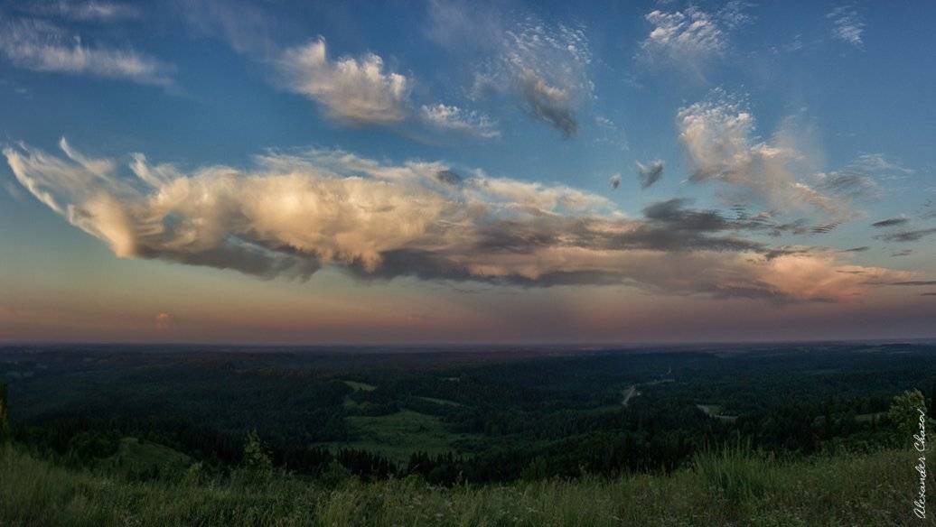 , Александр Чазов