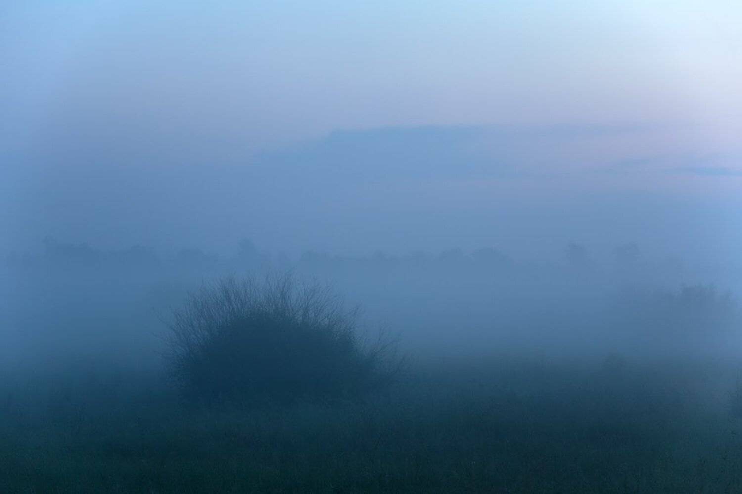 , Юрий Сорокин