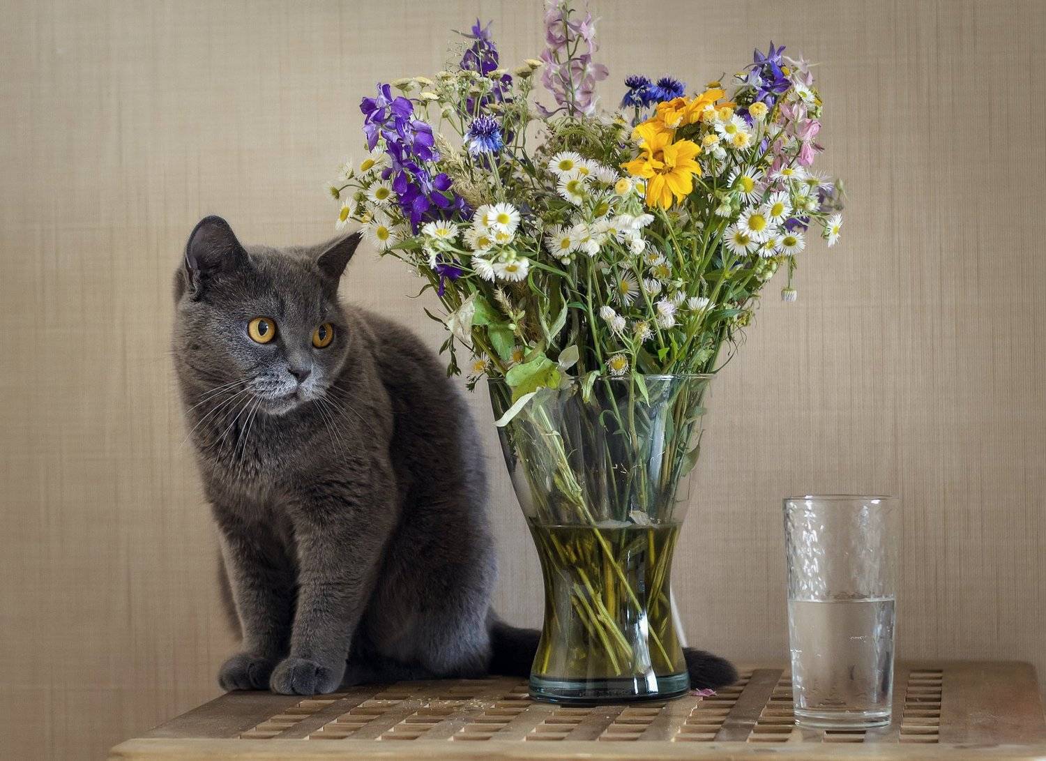 , Анатолий Щербак