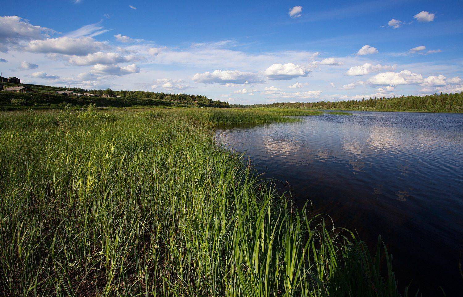 , Поташев Александр