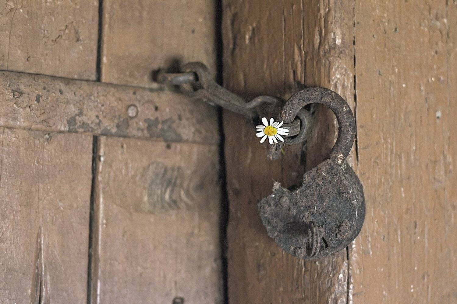 , Наталья Бочкарева