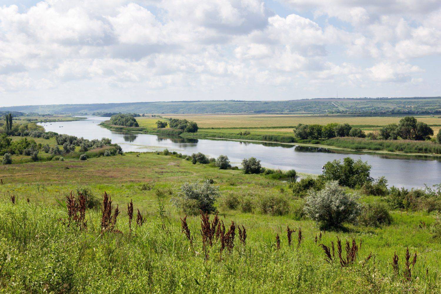 , Александр Индыло