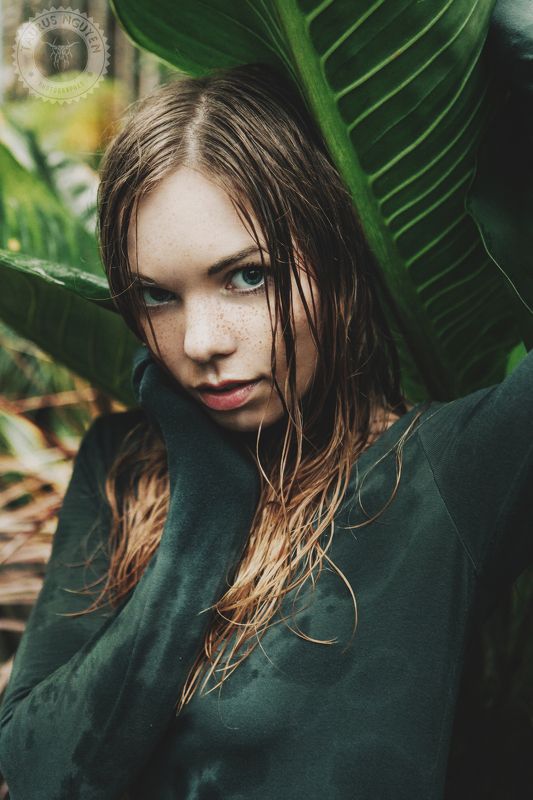 Wet фото превью