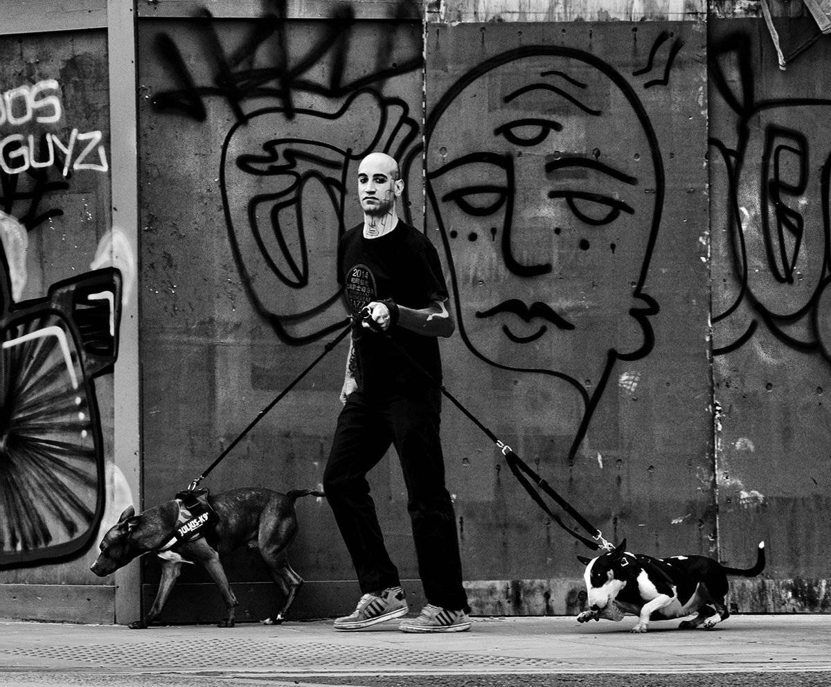 , Елена Лаврова